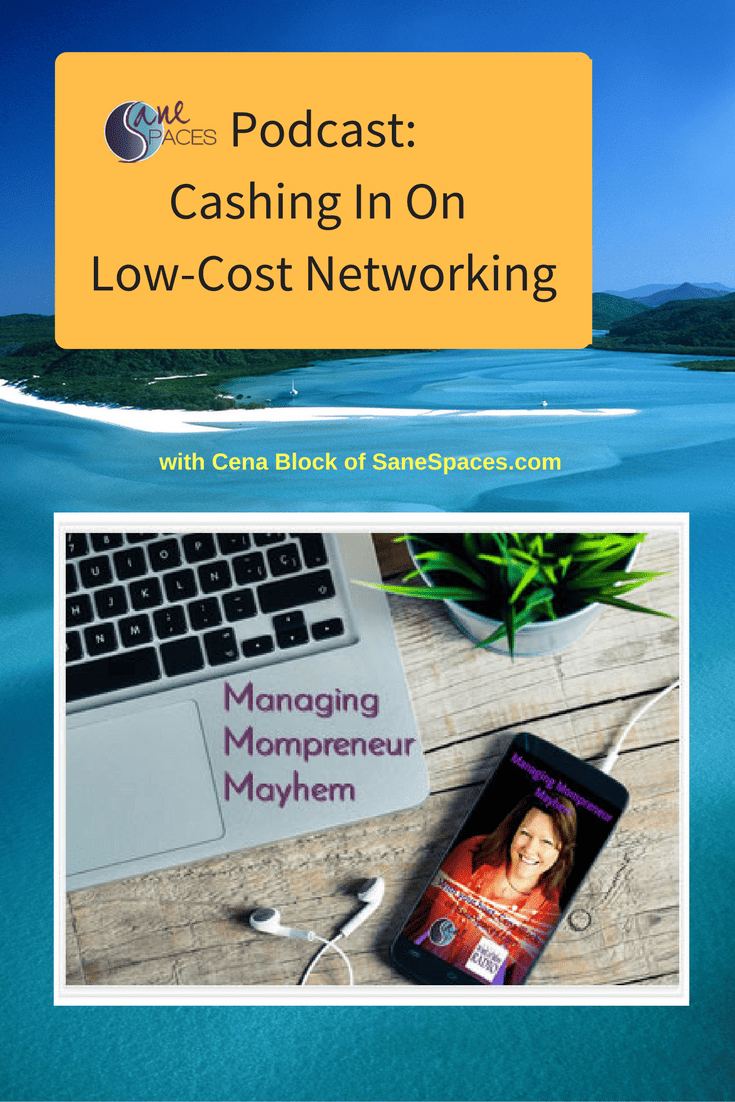 Low Cost Networking/podcast/sanespaces.com